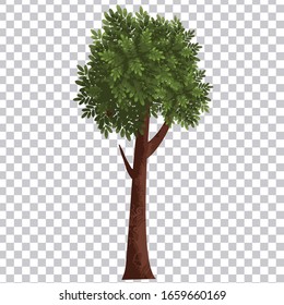 Tree vector painting isolated on transparent background.