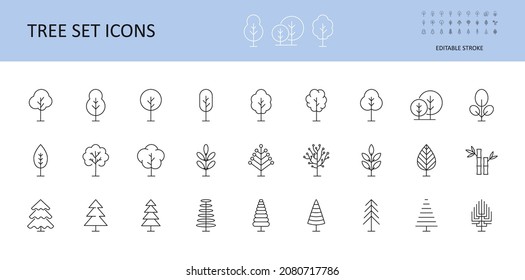 Tree vector set icons. Trees with crown, leaves, spruce, coniferous pine. Bushes linear icon editable stroke