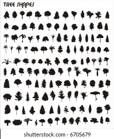 tree vector shapes