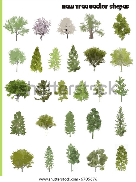 Tree Vector Shapes Stock Vector (Royalty Free) 6705676