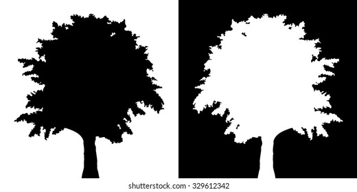 Tree vector silhouette