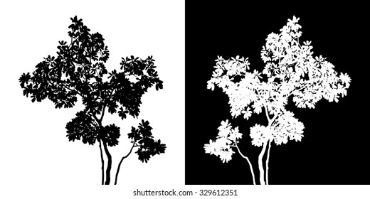 Tree vector silhouette