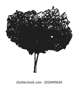 Tree vector silhouette icon isolated on transparent background.