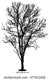 Tree of vector, Silhouette tree on white background with vector concept.