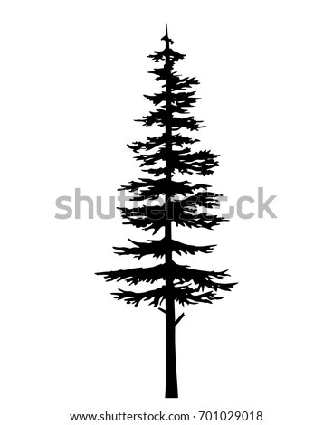 Tree Vector Silhouette Pine Black Evergreen Stock Vector (Royalty Free