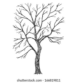 Tree Vector Sketched Stock Vector (Royalty Free) 166819811 | Shutterstock