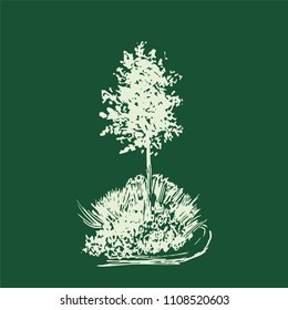Tree vector sketch.Vintage illustration, engraved style. Hand drawn ink. Line drawing Isolated on green background. For landscape, park, outdoors design.