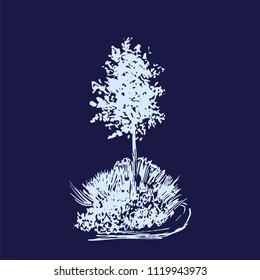 Tree vector sketch.Vintage illustration, engraved style. Hand drawn ink. Line drawing Isolated on dark background. For landscape, park, outdoors design. Blue colors.