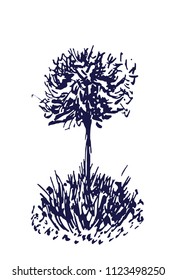 Tree vector sketch.Vintage illustration, engraved style. Hand drawn ink. Blue Line drawing Isolated on white background. For landscape, park, outdoors design.
