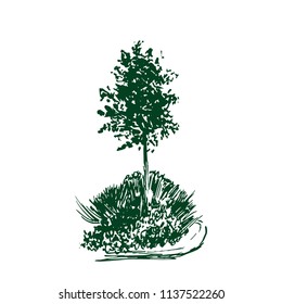 Tree vector sketch.Vintage illustration, engraved style. Hand drawn ink. Green Line drawing Isolated on white background. For landscape, park, outdoors design.