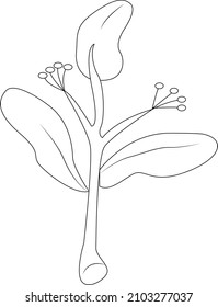  tree in a vector style isolated. Black and white engraved ink art.
