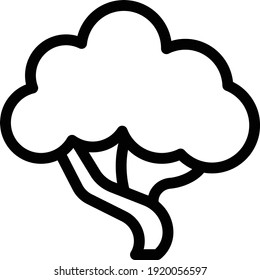 tree vector thin line icon