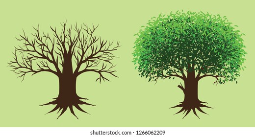 Tree vector, tree without leaves and trees with leaves