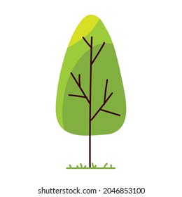 icono de la naturaleza de la vegetación arbórea aislado