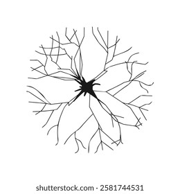 Tree. View from above. Vector illustration. Maple tree. Plan