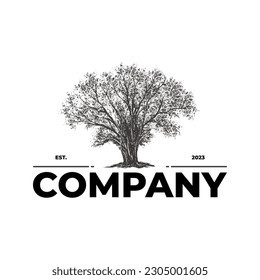 Tree vintage drawing company logo design