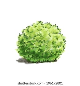 tree watercolor hand drawn vector illustration