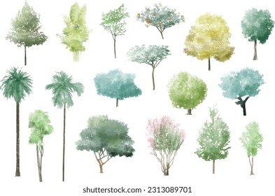 tree watercolor vector illustration, Minimal style tree painting hand drawn, Side view, set of graphics trees elements drawing for architecture and landscape design. Tropical