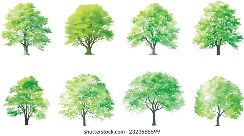 tree watercolor vector illustration, Minimal style tree painting hand drawn, Side view, set of graphics trees elements drawing for architecture and landscape design. Tropical