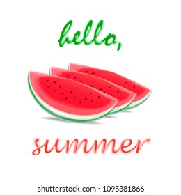 tree watermelon slices  isolated on the white background, square vector illustration