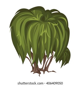 Tree with a weeping crown. Vector illustration.