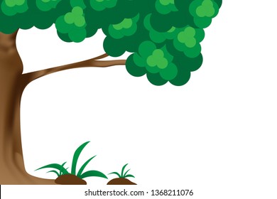 A tree with white background, Nature, Forest, Vector.