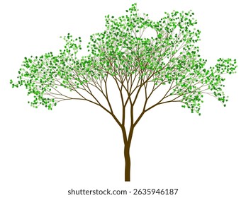 Tree with wide shape and green leaves. Binary fractal algorithmic design.