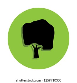 tree willow in green badge icon