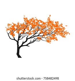 Tree in wind with flying leaves