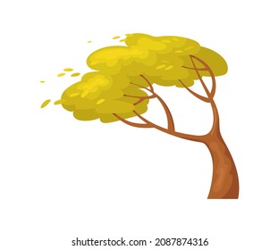 Tree in wind. Windy season in September, outdoor environmen, vector design isolated on white background