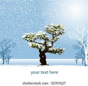 tree winter abstraction