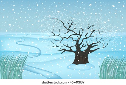 invierno arbolado - cuatro estaciones