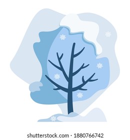 Tree in winter with snow cap