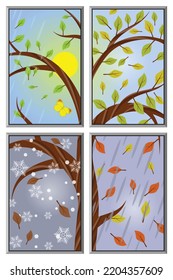 Tree in winter, spring, summer and autumn, - all seasons in one window