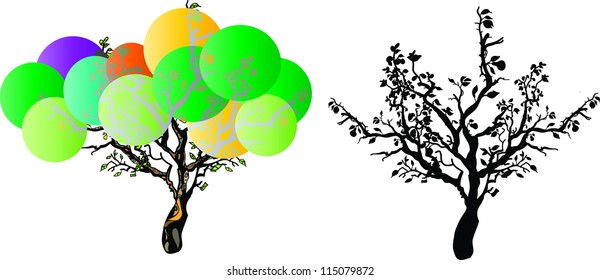 Tree in winter and summer variant