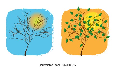 Tree in winter and summer. Vector illustration
