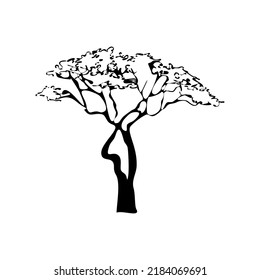 the tree of wisdom,vector illustration