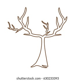 tree withered branching free spirit rustic