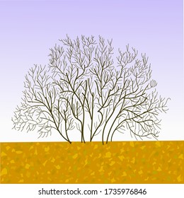 a tree without leaf in the field