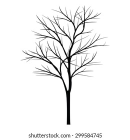 Tree without leaves 