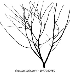 Tree without leaves, with buds on a white background. Vector illustration.
