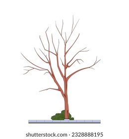 tree without leaves, dry, contour drawing, vector illustration, street tree