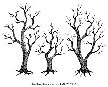 Tree without leaves graphic dead plant black white isolated sketch illustration vector