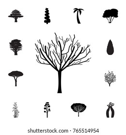 tree without leaves icon. Set of silhouette of tree icons. Web Icons Premium quality graphic design. Signs, outline symbols collection, simple icons for websites, web design on white background