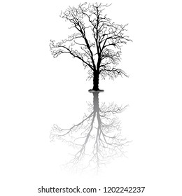 Tree without leaves illustration