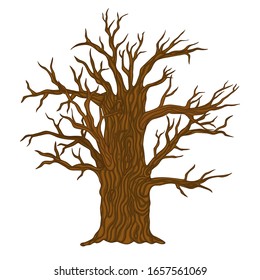 Tree without leaves isolate on a white background. Vector graphics.