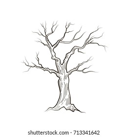  Tree Without Leaves Drawing 