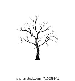 Tree without leaves isolated. Nature sign Vector illustration