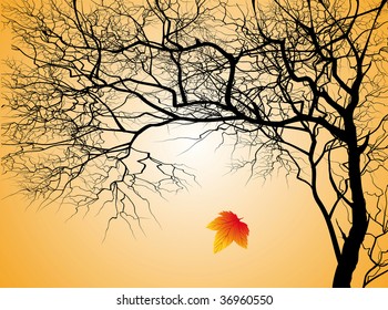 Tree without leaves on an autumn background