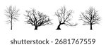 Tree without leaves silhouette. Leafless tree vector